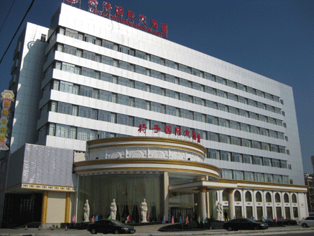扬子国际大厦