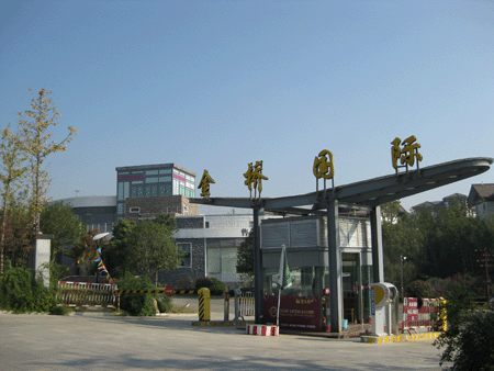 金桥国际